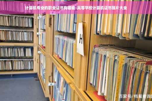 计算机专业的职业证书有哪些-高等学校计算机证书图片大全