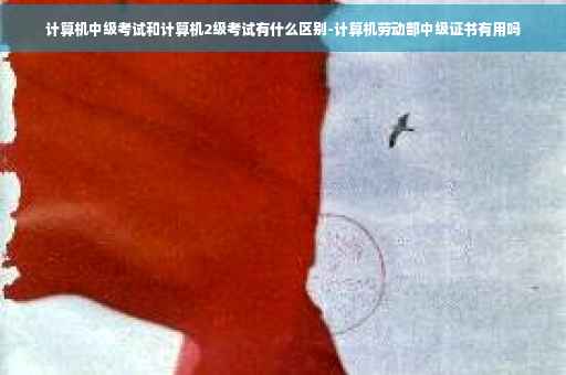 计算机中级考试和计算机2级考试有什么区别-计算机劳动部中级证书有用吗