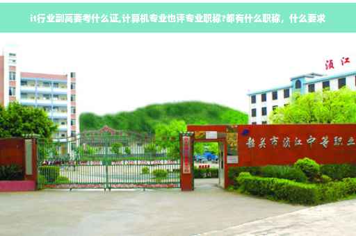 it行业副高要考什么证,计算机专业也评专业职称?都有什么职称，什么要求