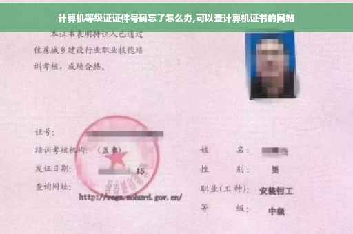 计算机等级证证件号码忘了怎么办,可以查计算机证书的网站