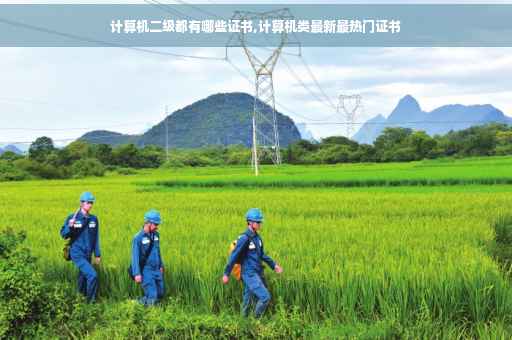 计算机二级都有哪些证书,计算机类最新最热门证书