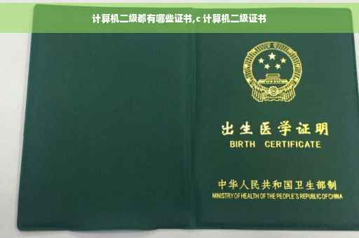 计算机二级都有哪些证书,c 计算机二级证书