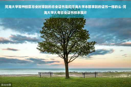 河海大学常州校区毕业时拿到的毕业证书是和河海大学本部拿到的证书一样的么-河海大学大专毕业证书样本图片