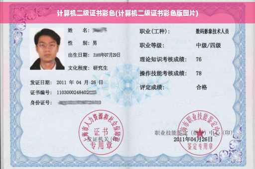 计算机二级证书彩色(计算机二级证书彩色版图片)