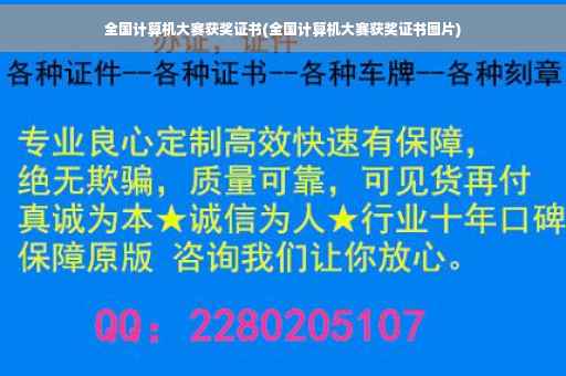 全国计算机大赛获奖证书(全国计算机大赛获奖证书图片)