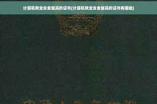计算机就业含金量高的证书(计算机就业含金量高的证书有哪些)