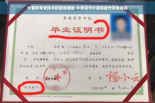 计算机专业技术职称有哪些-中级证书计算机操作员有用吗