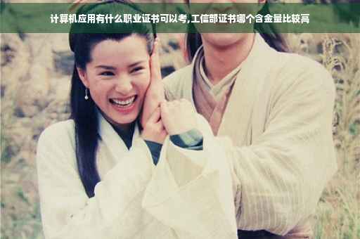 计算机应用有什么职业证书可以考,工信部证书哪个含金量比较高