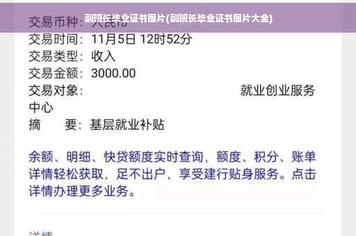副班长毕业证书图片(副班长毕业证书图片大全)