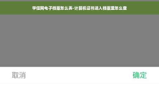 学信网电子档案怎么弄-计算机证书进入档案里怎么查