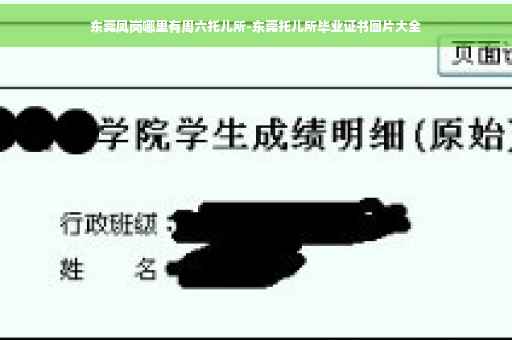 东莞凤岗哪里有周六托儿所-东莞托儿所毕业证书图片大全