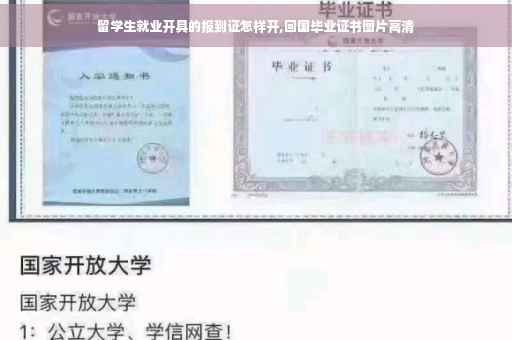 留学生就业开具的报到证怎样开,回国毕业证书图片高清