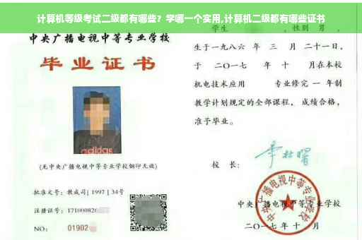 计算机等级考试二级都有哪些？学哪一个实用,计算机二级都有哪些证书