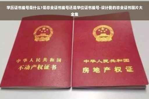 学历证书编号是什么?是毕业证书编号还是学位证书编号-设计我的毕业证书图片大全集