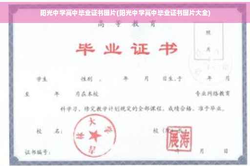 阳光中学高中毕业证书图片(阳光中学高中毕业证书图片大全)