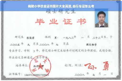 梅陇小学毕业证书图片大全高清,自行车证怎么考