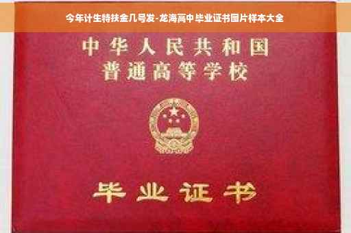 今年计生特扶金几号发-龙海高中毕业证书图片样本大全