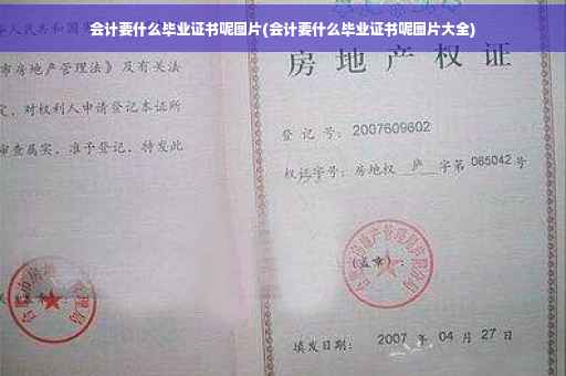 会计要什么毕业证书呢图片(会计要什么毕业证书呢图片大全)
