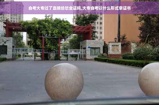 自考大专过了直接给毕业证吗,大专自考以什么形式拿证书