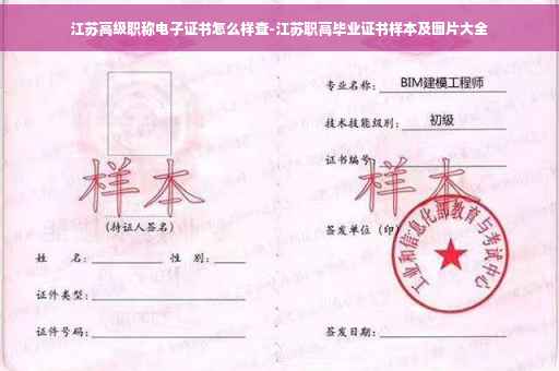 江苏高级职称电子证书怎么样查-江苏职高毕业证书样本及图片大全 江苏高级职称电子证书怎么样查-江苏职高毕业证书样本及图片大全