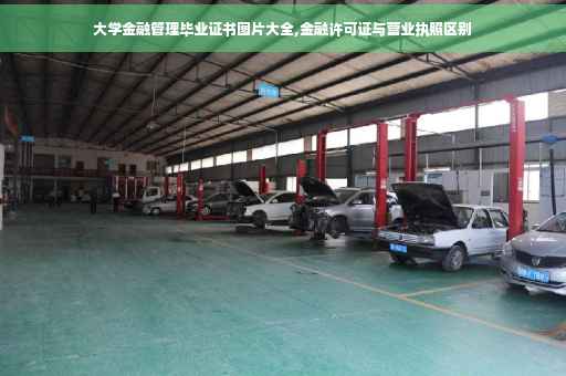 大学金融管理毕业证书图片大全,金融许可证与营业执照区别