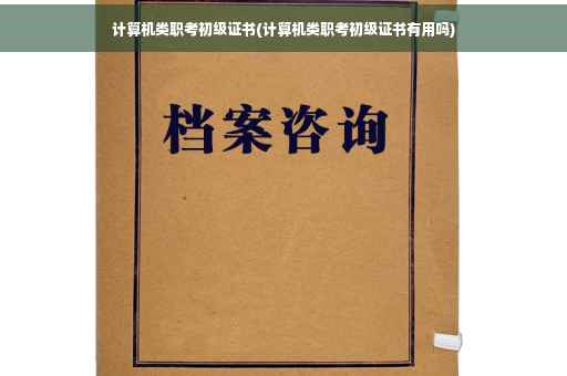 计算机类职考初级证书(计算机类职考初级证书有用吗)