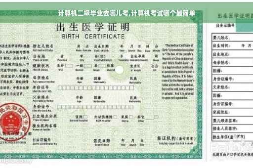 计算机二级毕业去哪儿考,计算机考试哪个最简单