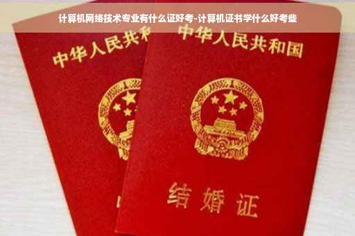 计算机网络技术专业有什么证好考-计算机证书学什么好考些