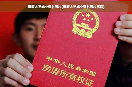 普渡大学毕业证书图片(普渡大学毕业证书图片高清)