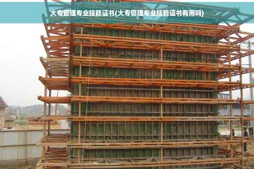 大专管理专业技能证书(大专管理专业技能证书有用吗)