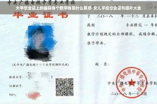 大学毕业证上的编码各个数字各是什么意思-女儿学校毕业证书图片大全