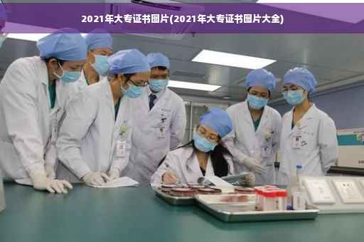 2021年大专证书图片(2021年大专证书图片大全)