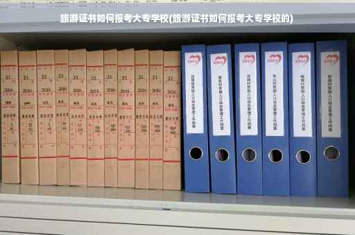 旅游证书如何报考大专学校(旅游证书如何报考大专学校的)