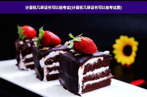 计算机几级证书可以抵考试(计算机几级证书可以抵考试费)