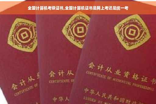 全国计算机考级证书,全国计算机证书是网上考还是统一考