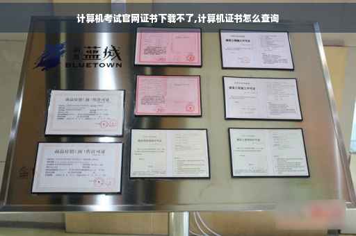 计算机考试官网证书下载不了,计算机证书怎么查询