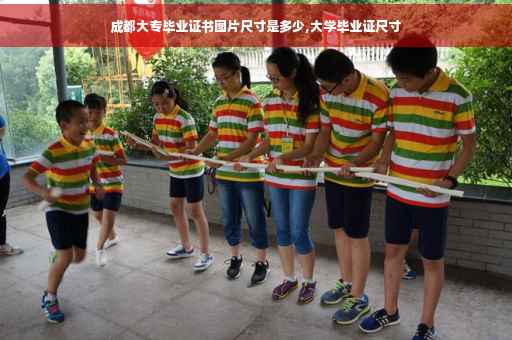 成都大专毕业证书图片尺寸是多少,大学毕业证尺寸