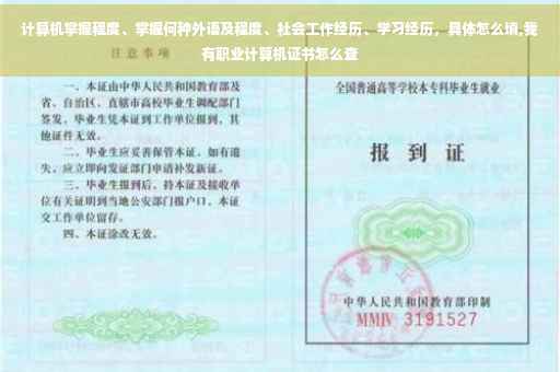 计算机掌握程度、掌握何种外语及程度、社会工作经历、学习经历，具体怎么填,我有职业计算机证书怎么查