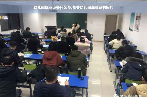 幼儿园毕业证盖什么章,机关幼儿园毕业证书图片