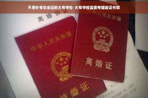 不用中专毕业证的大专学校-大专学校需要考哪些证书呢