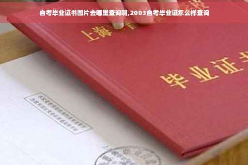 自考毕业证书图片去哪里查询啊,2003自考毕业证怎么样查询