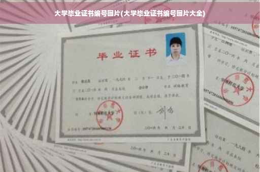大学毕业证书编号图片(大学毕业证书编号图片大全)