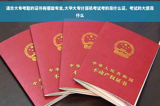 适合大专考取的证书有哪些专业,大学大专计算机考试考的是什么证，考试的大纲是什么