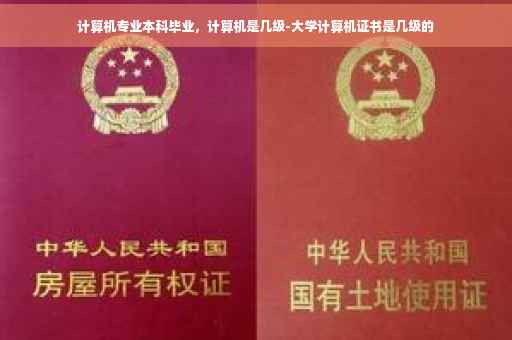 计算机专业本科毕业，计算机是几级-大学计算机证书是几级的