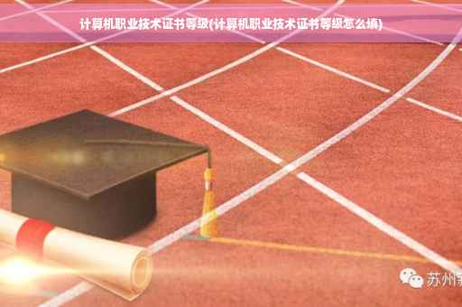 计算机职业技术证书等级(计算机职业技术证书等级怎么填)