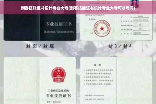 刺客技能证书设计专业大专(刺客技能证书设计专业大专可以考吗)