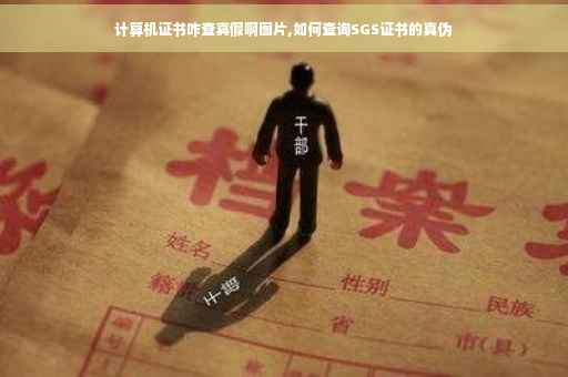 计算机证书咋查真假啊图片,如何查询SGS证书的真伪
