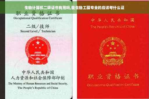 生物计算机二级证书有用吗,我生物工程专业的应该考什么证