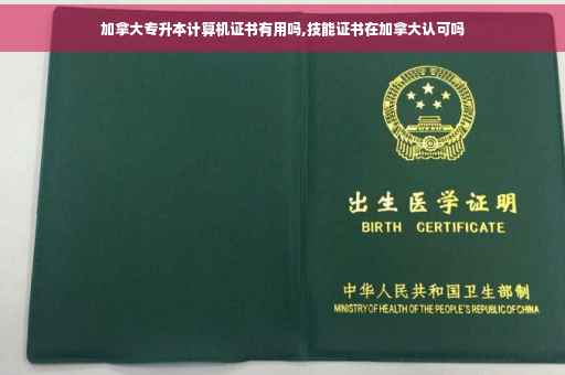 加拿大专升本计算机证书有用吗,技能证书在加拿大认可吗