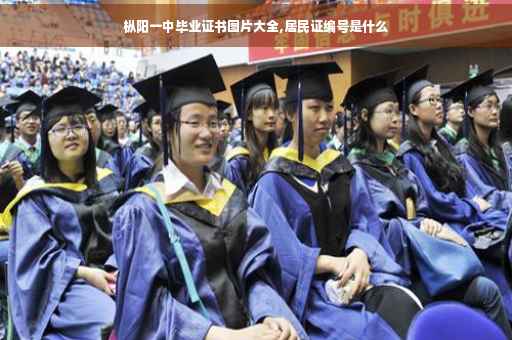 枞阳一中毕业证书图片大全,居民证编号是什么